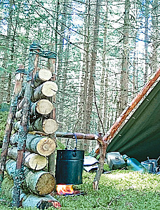 Survival in the Wild. Step-by-Step Illustrated Guide